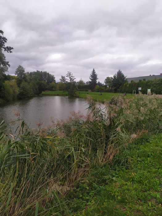 Działka rekreacyjna na wsi wsród sadów  k Warszawy