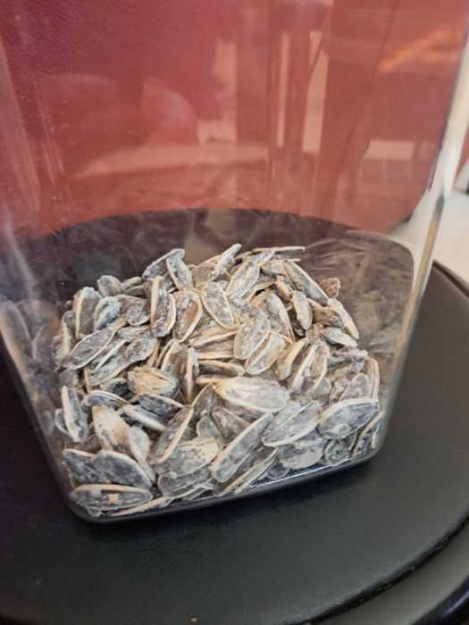 Pipas com Sal, marca de qualidade, em embalagens de 100 gr