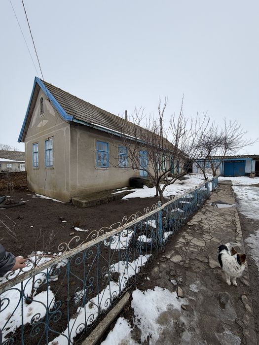 Продаётся дом в селе Белолесье Одесской области.