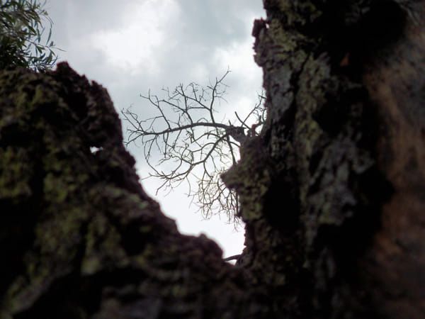 Aparat cyfrowy Kodak EasyShare C142