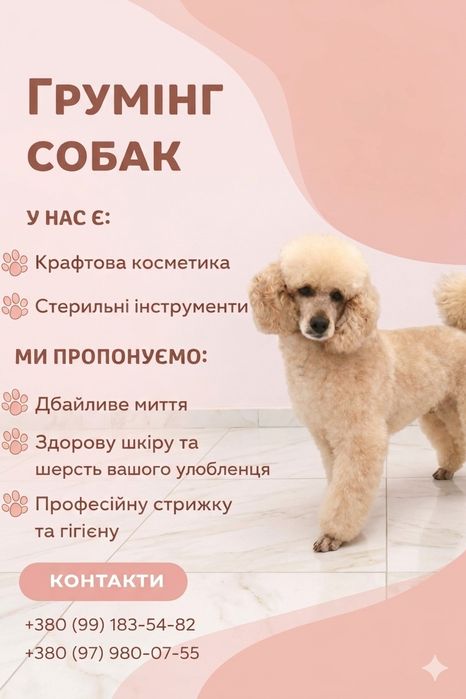 Професійний грумінг собак