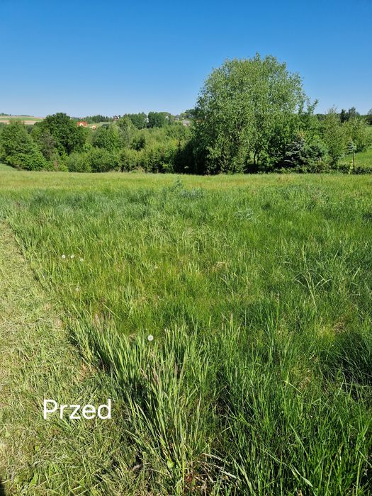 Usługa koszenia terenów mulczerem