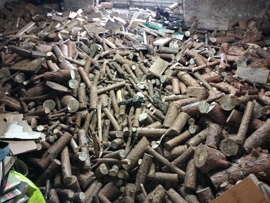 Sprzedam drzewo sosna