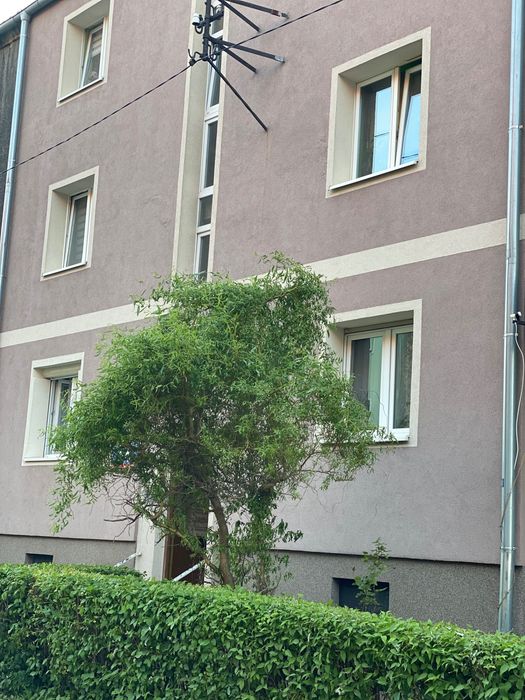 Zdjęcie 7