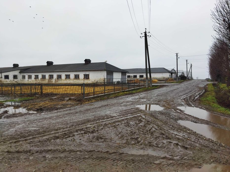 Продаж комплексу нежитлових будівель, с.Подвірне Чернівецької обл.