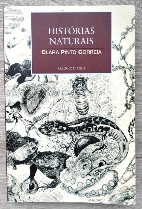 livros de Clara Pinto Correia