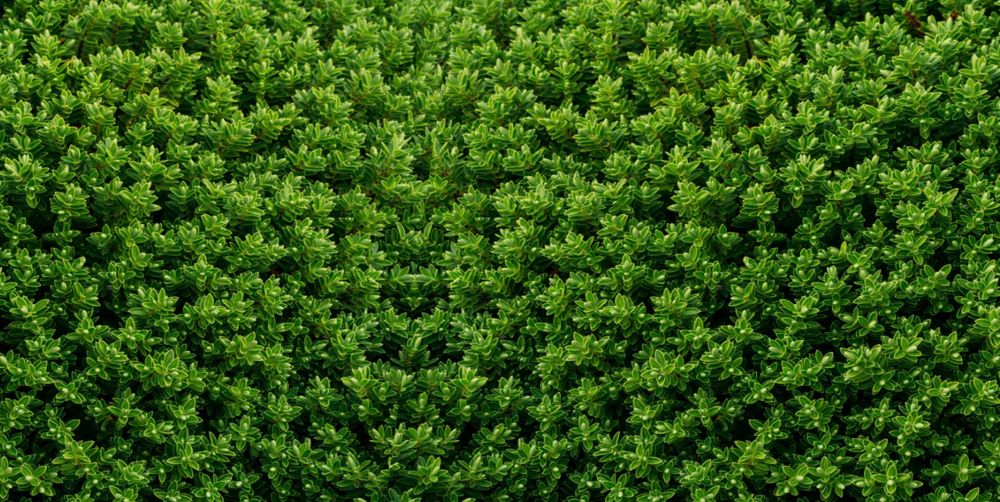 TELA PARA-VENTO, VEDAÇÃO, OCULTAÇÃO MICROPERFURADA A MEDIDA