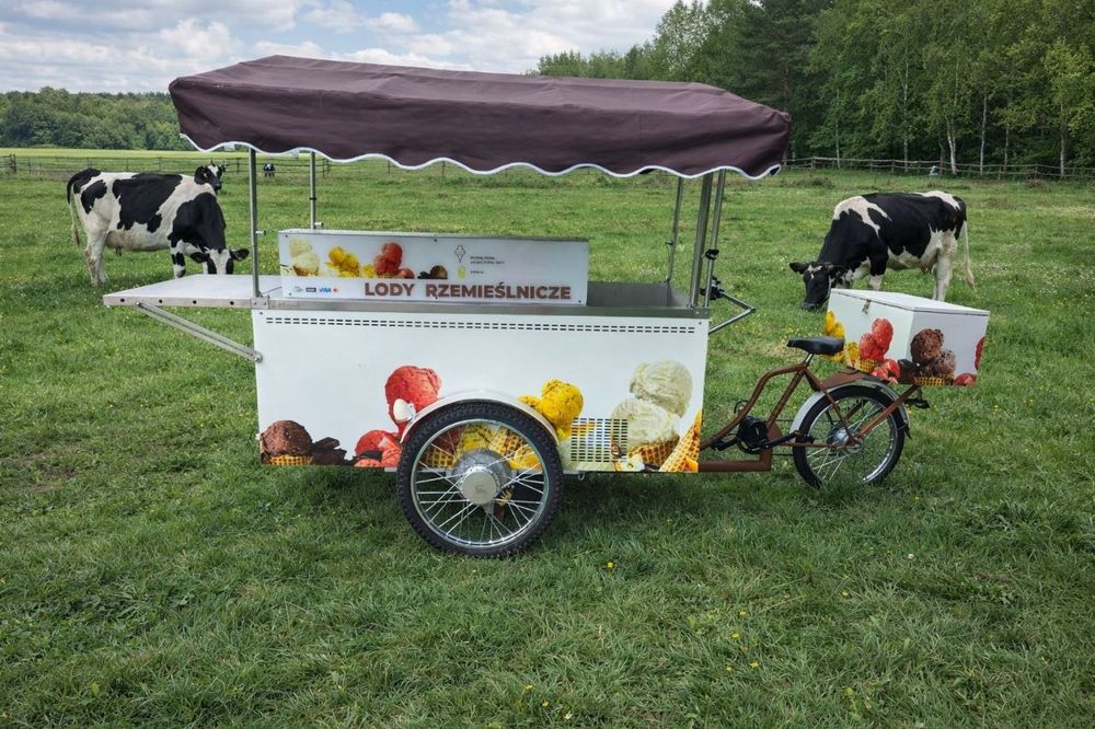 Powystawowy, prawie nowy rower gastronomiczny do lodów | Bafang 750W | 20h Pracy | Gotowy biznes