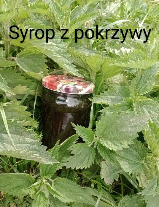 Domowe syropy   / przetwory na odporność