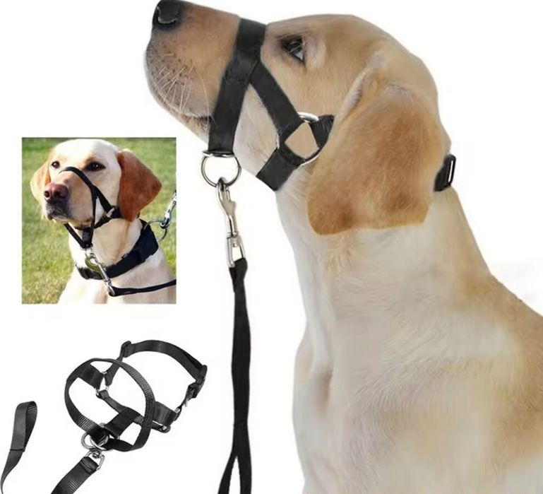 Coleira de cabeça Trixie