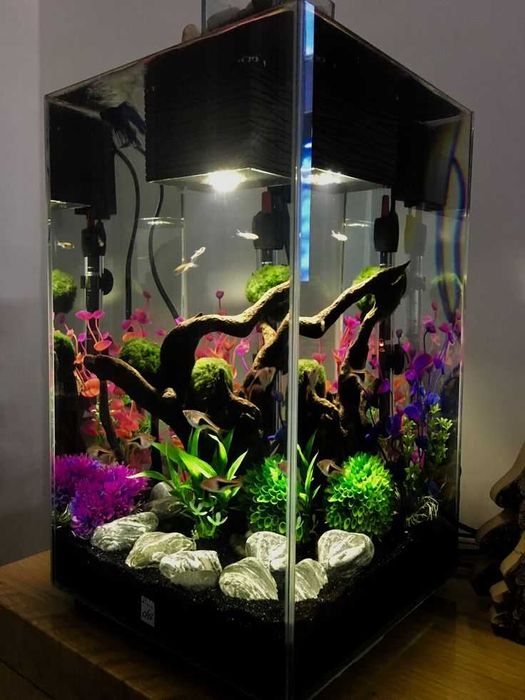 aquarium fluval chi аквариум флувал чи 24 л +прикалухи в комплекте. Мини аквариум с фильтром и светом бу дизайн дзен, декорации грот туф рыбк