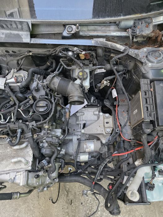 Motor Vw Skoda Seat 1.6tdi 115cv 2019