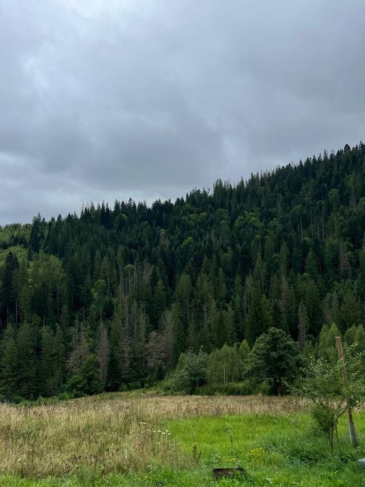 Земля Карпати Микуличин 25 сот біля потічка, будівництво,норм дорога