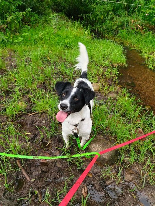 Majka do adopcji