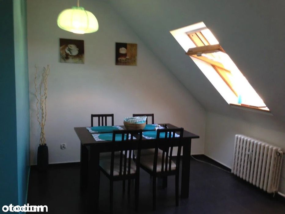 Bezposrednio do wynajecia jasne ciche 56m2 w centrum pestalozziego