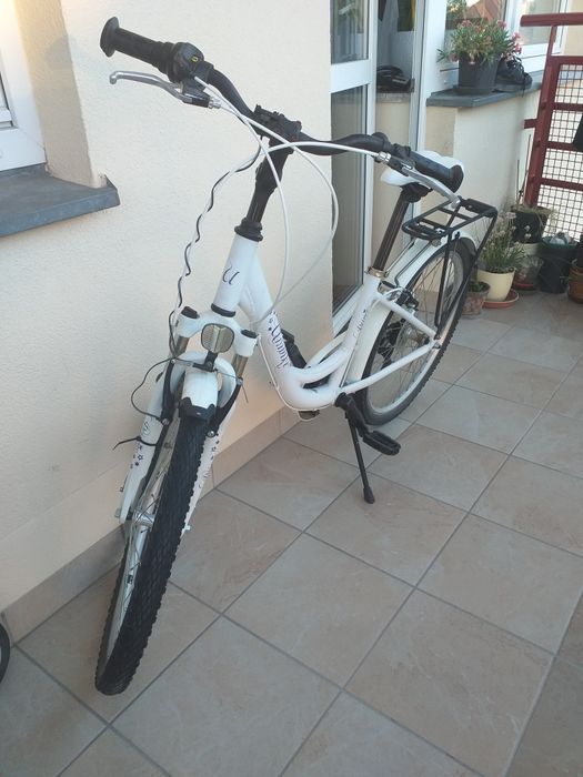 Rower Unibike 24 cale