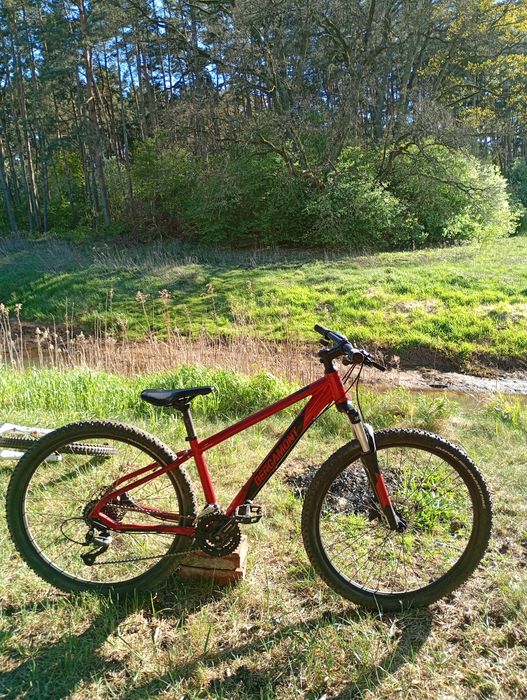 Bergamont Revox 3