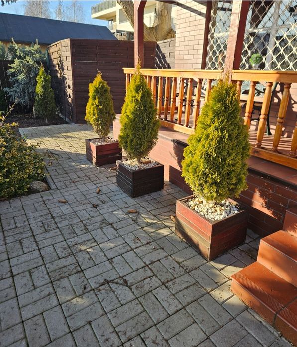 Dzialka ROD centrum Nowa cena ! Do negocjacji dla zdecydowanych !