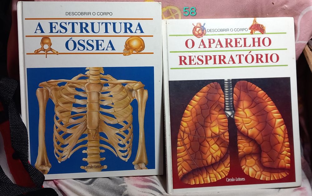 Livros 1 euro cada