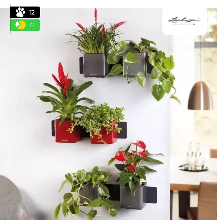 Lechuza вазони з автополивом тріо в різних кольорах 14 розмір