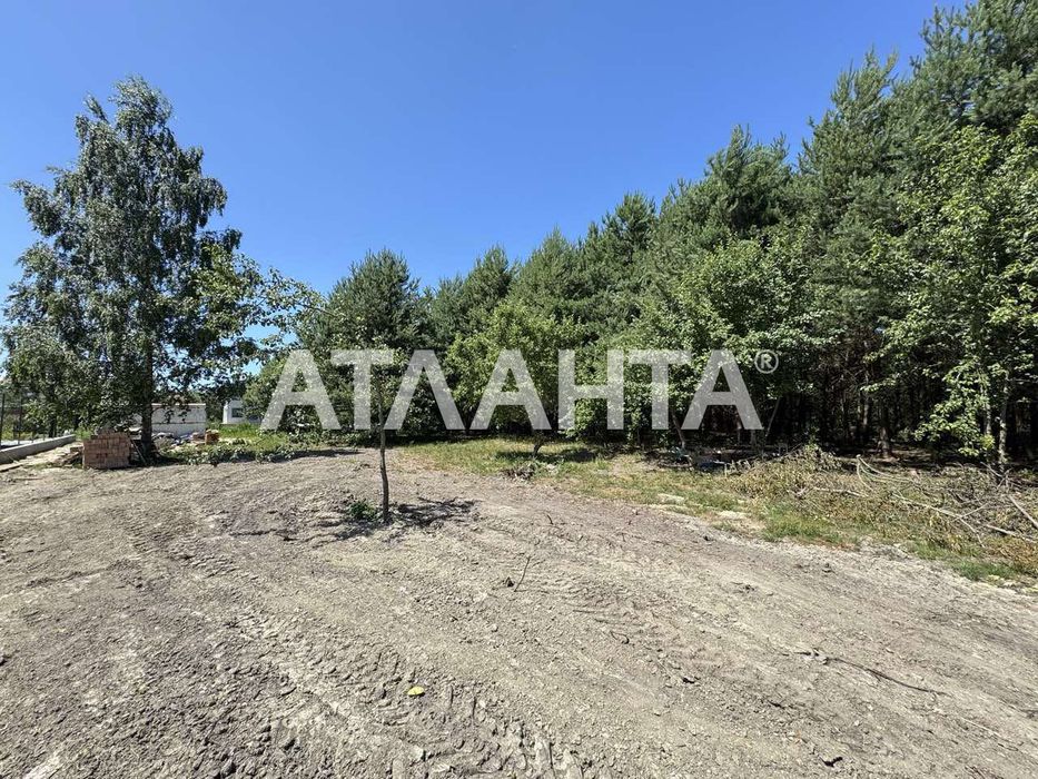 Продаж земельної ділянки в с. Паланки