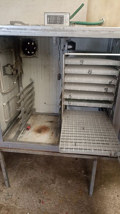 Chicadeiras e jaulas para postura