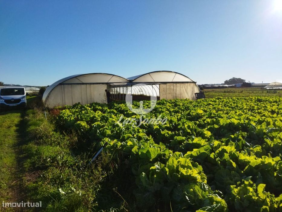 Agricultural Plot in Navais, 1,900 m², Póvoa de Varzim