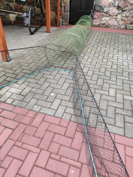 Żaki Ala mierorze