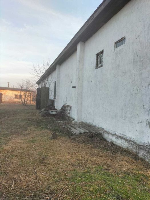 Ферма Свиноферма Скотарство Зерносхови Цех Броварський 600квм 70сот