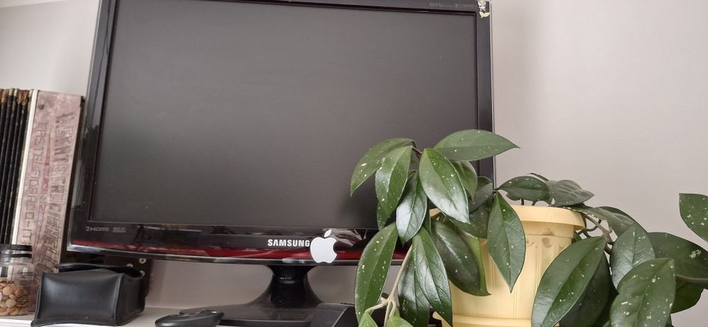 Monitor/TV Samsung 22 cale HDMI + pilot