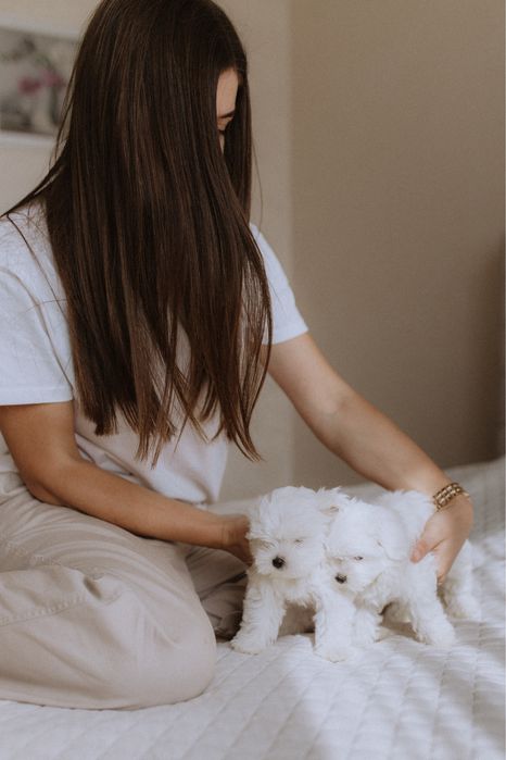 Maltese boy and girl