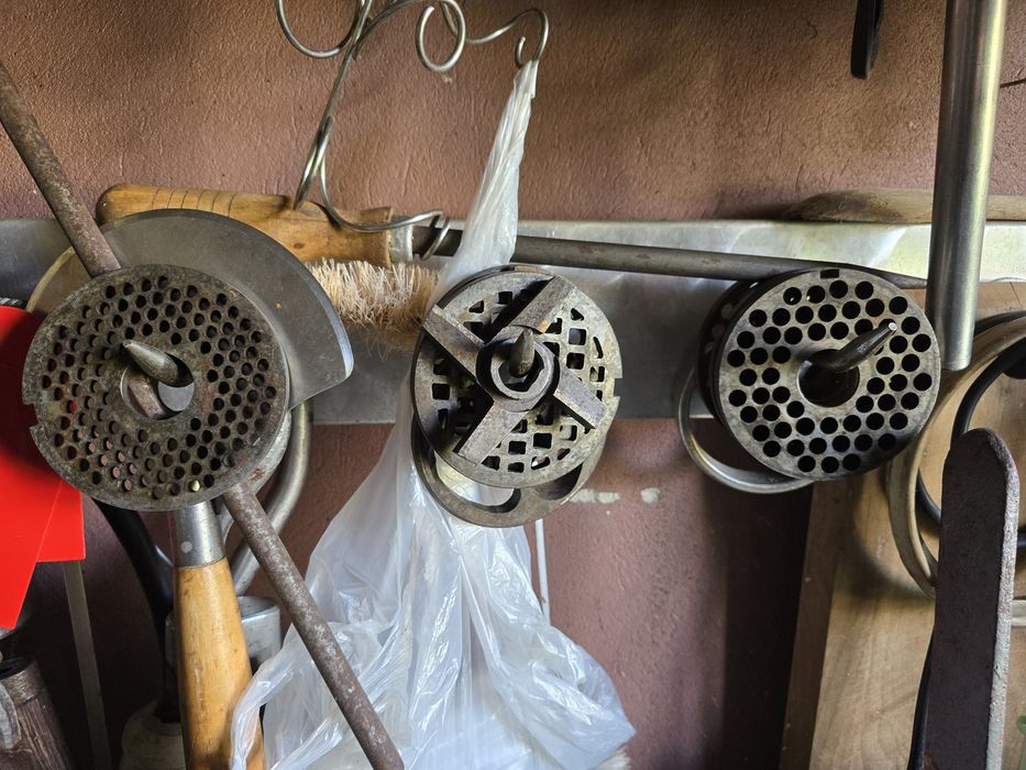 Kuter-wilk masarski.