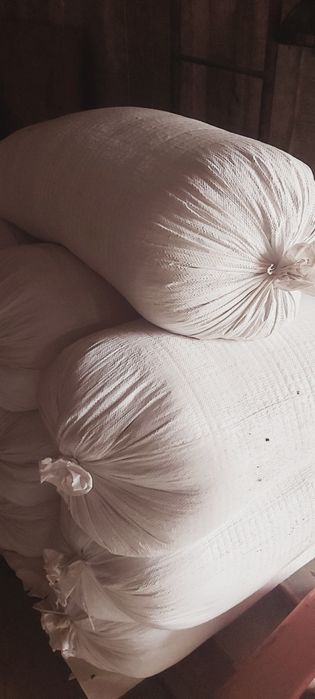 Pszenżyto worki po 50 kg