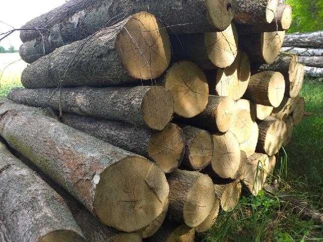 Suche Drewno kominkowe opałowe