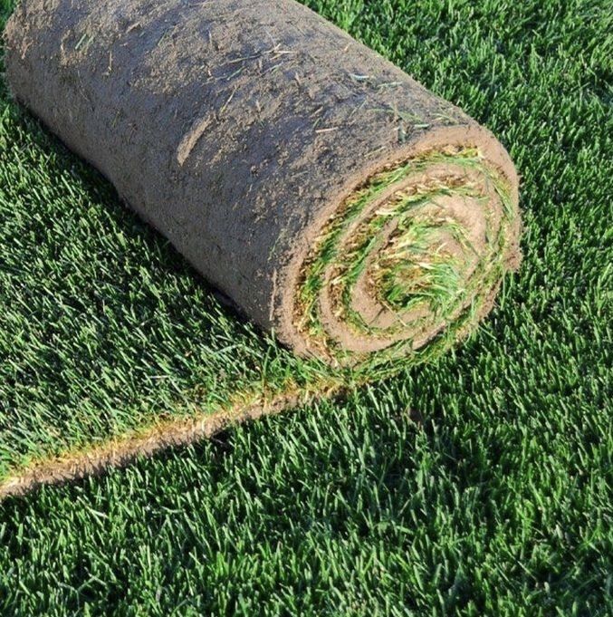 Ландшафтний дизайн