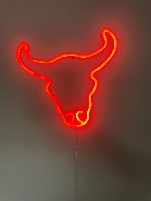 Lapka nocna neon led