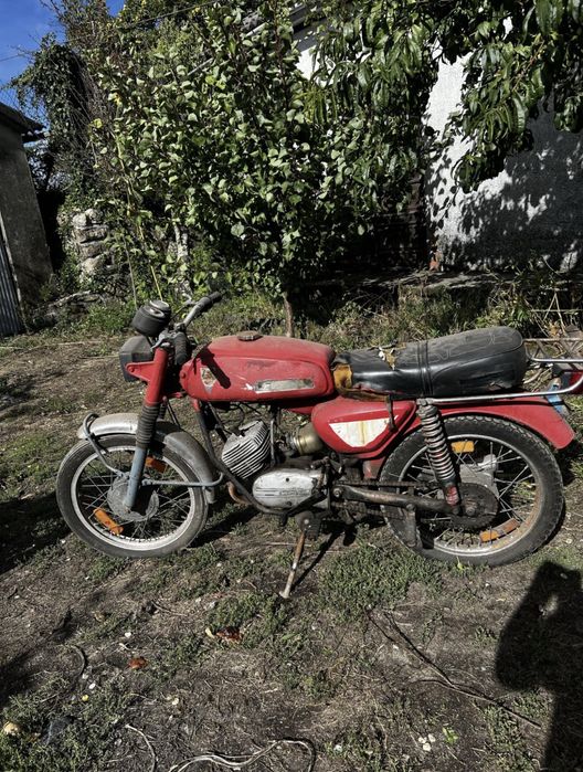 Casal Mamute para resrauro