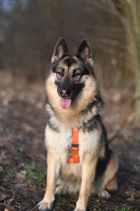 Kloe mądra, oddana indywidualistka