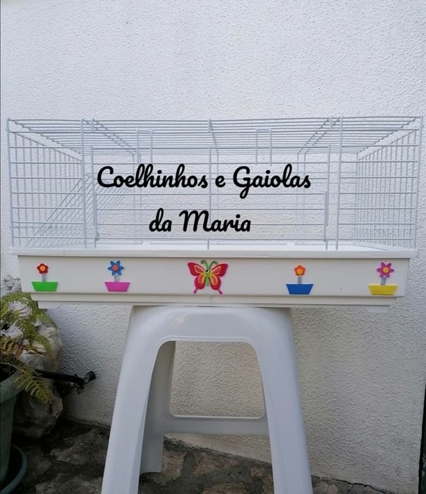 KIT Coelhos Anões Mini Toy, Mini Hokandez, Tedy, Belier (Orelhudo)