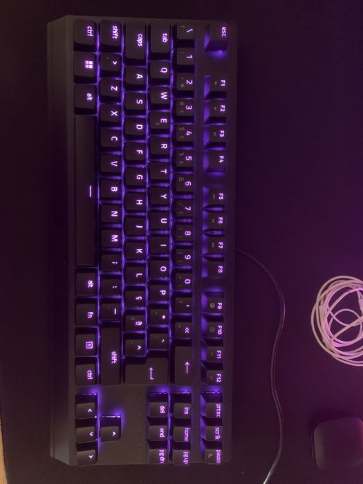 Razer Blackwidow v3 Tenkeyless