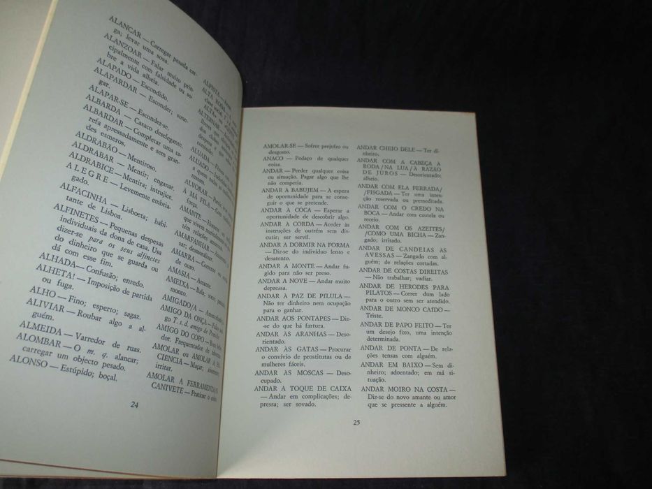 Livro Novo Calão Português Eduardo Nobre