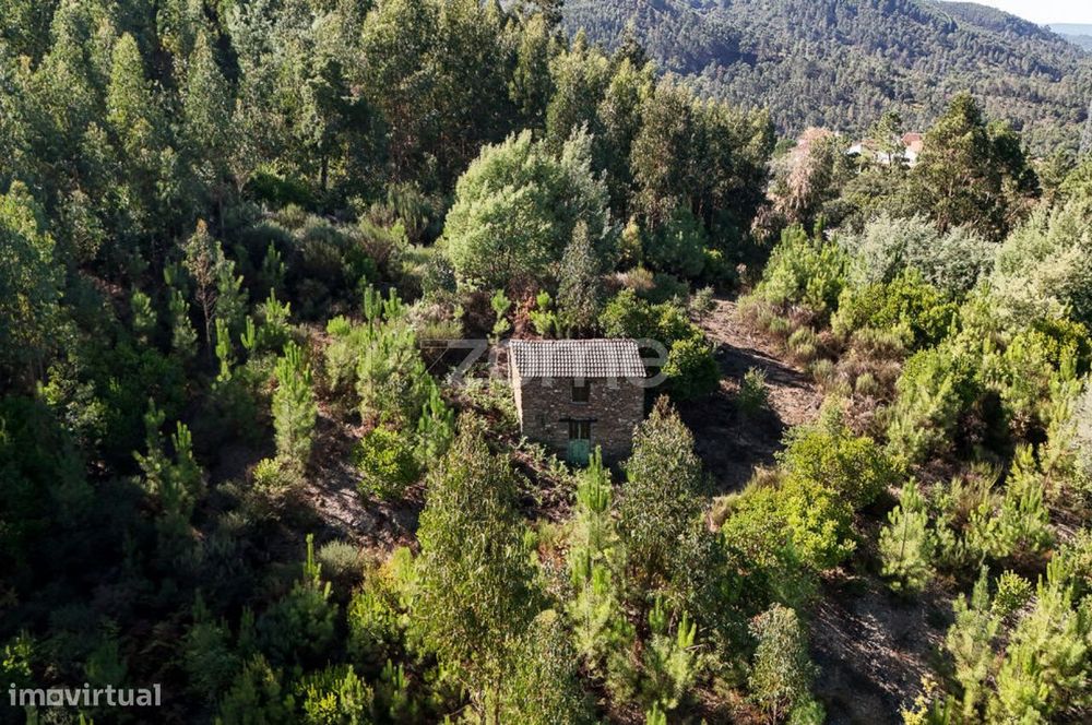 Terreno em Folques, Arganil