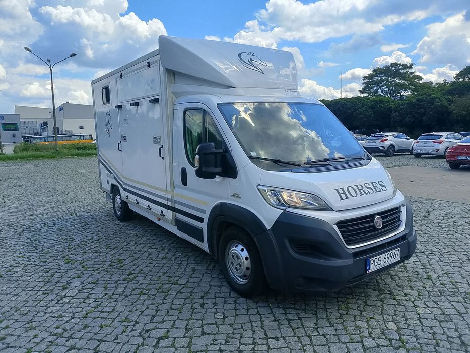 Fiat Ducato Koniowóz  ducato Lift LED Koniowóz 3.0 180KM Klimatyzacja zabudowa 2 konie