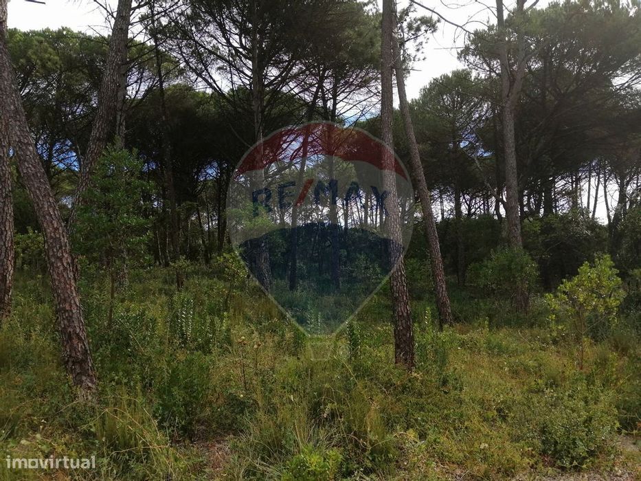 Terreno  para venda