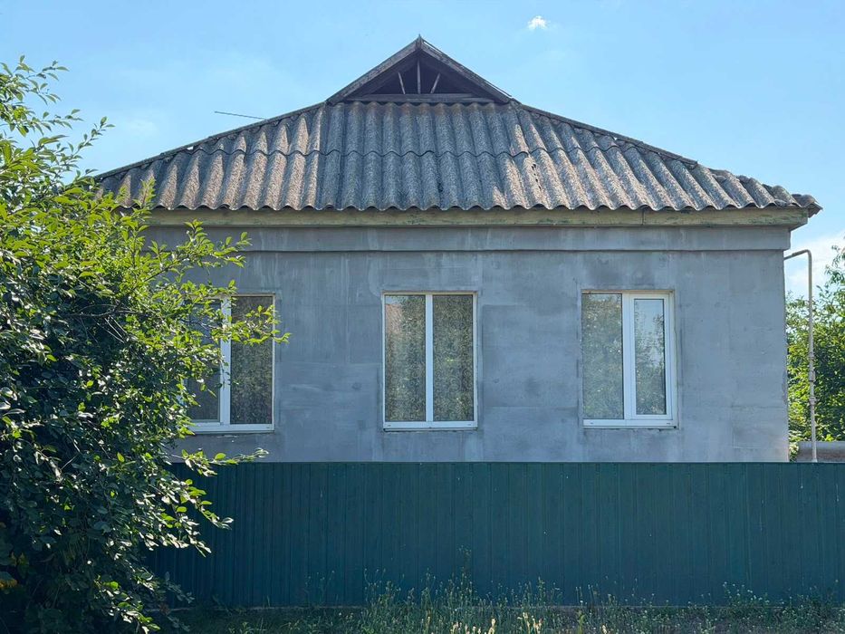 Будинок в селі Дмитрівка