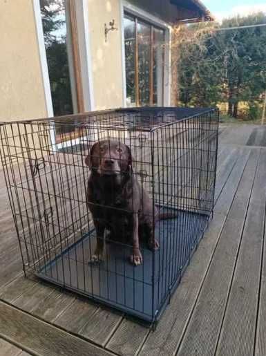 KLATKA METALOWA DLA PSA kennelowa składana zamykana XL 93CM kojec NOWY