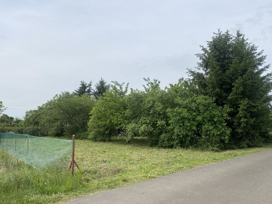 Działka ROD Szymanów – 502 m²