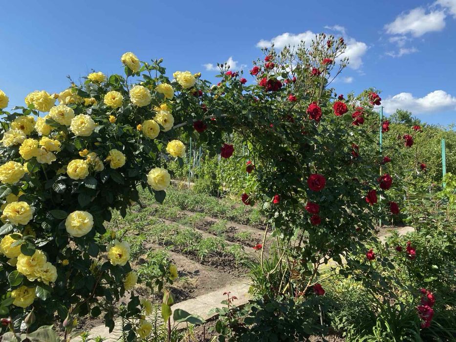 Продається дача Ближні дачі