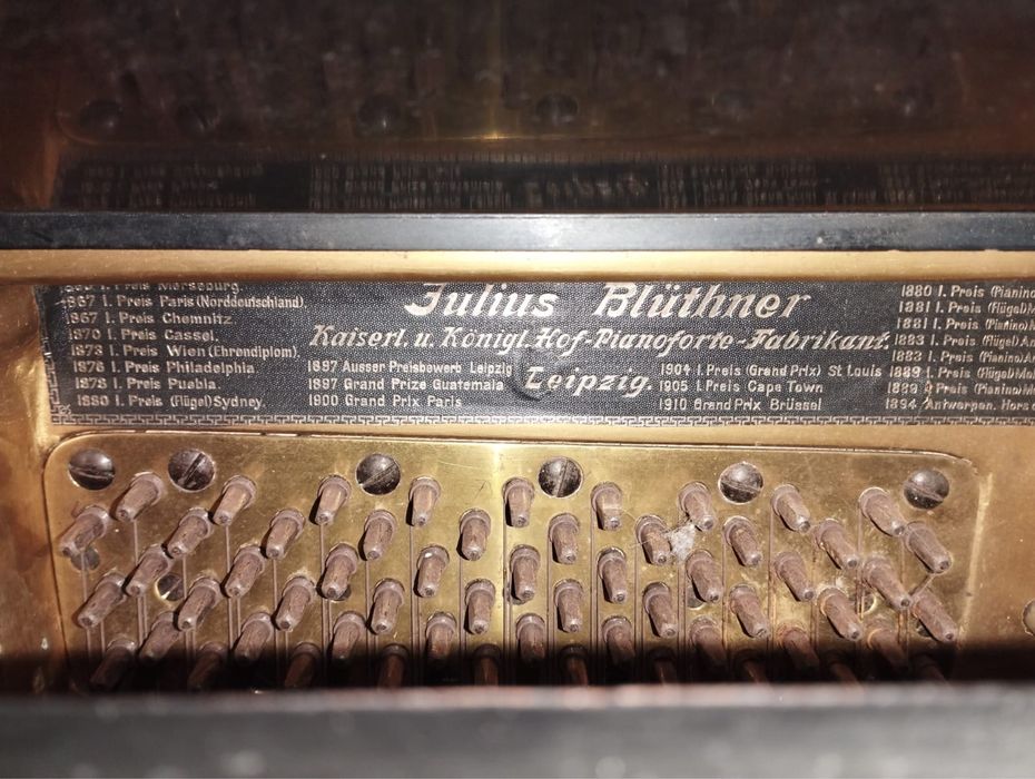 Vendo Piano Blüthner