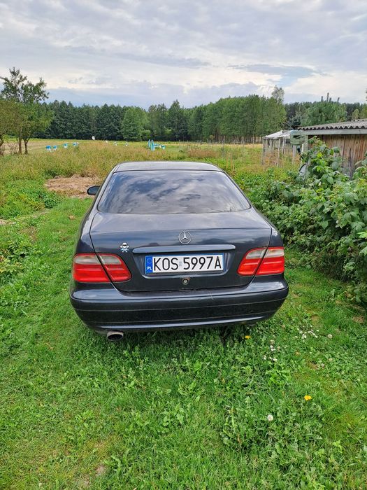 Mercedes-Benz Klasa CLK